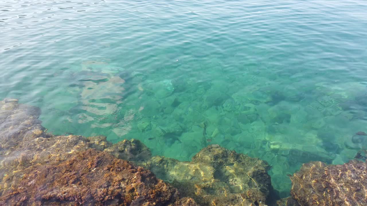 夏天清澈的大海和岸边的波浪视频素材