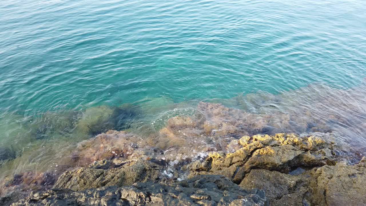 夏天清澈的大海和岸边的波浪视频素材