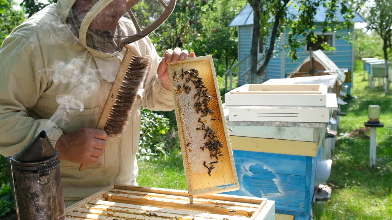 夏天的一天，养蜂人在蜂房检查蜂窝架。在养蜂场工作的人。自然新鲜的蜂蜜。有机食品的概念。慢动作视频。视频素材