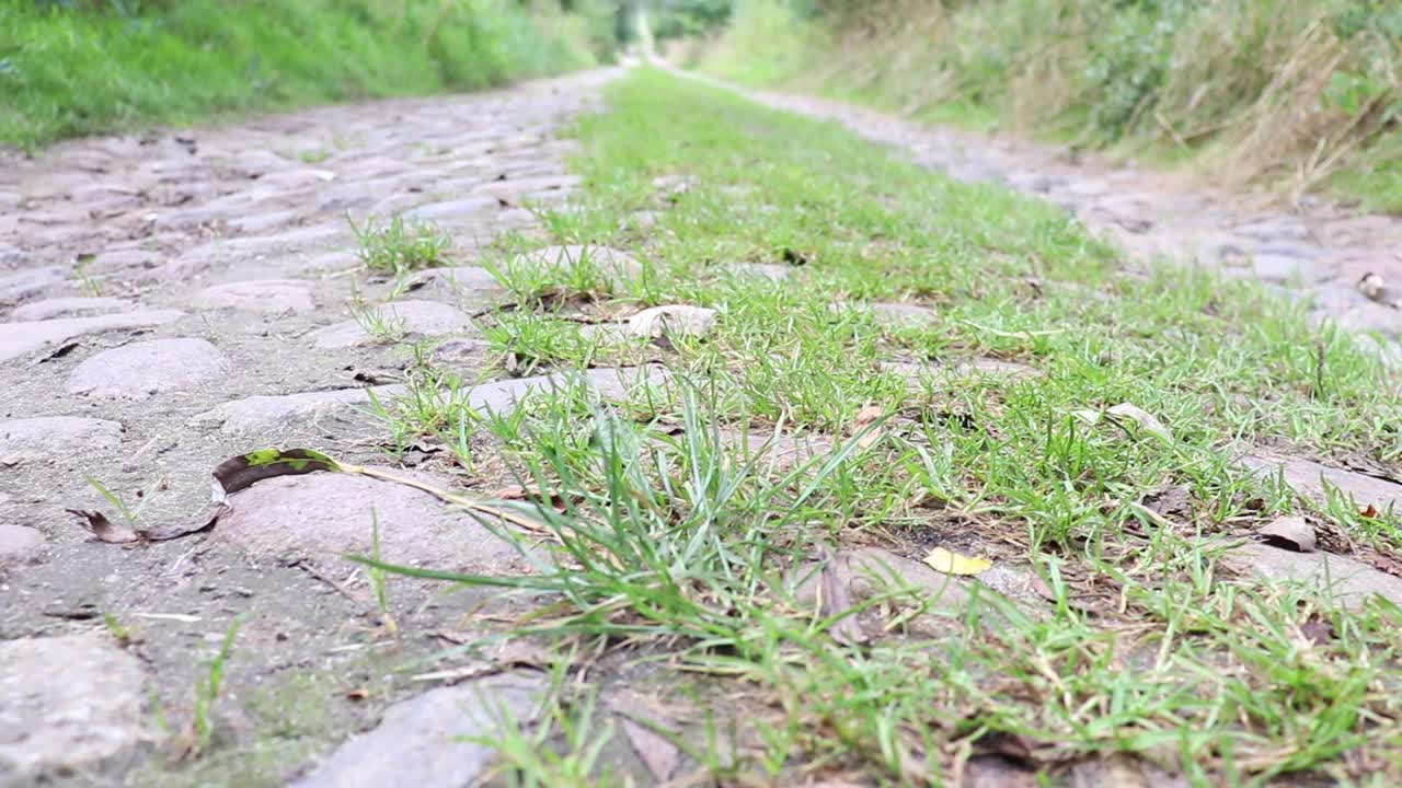 那条旧路两旁是大石头。视频下载