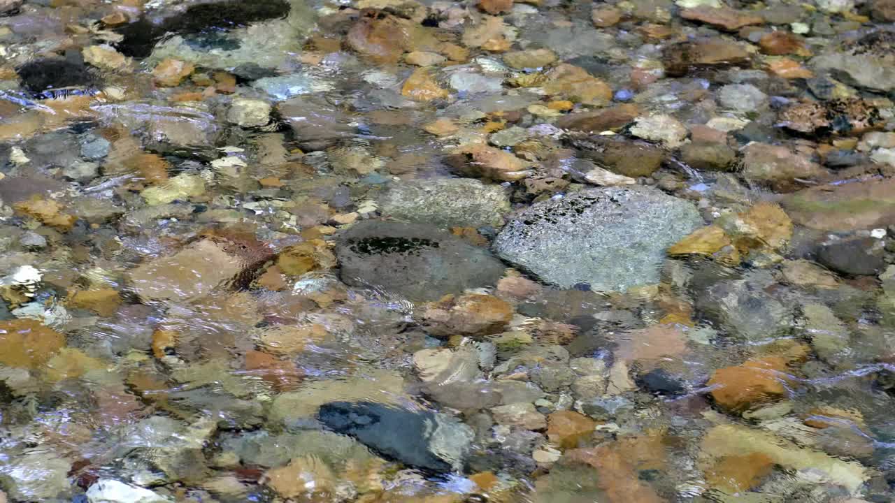 清澈的小溪底部岩石石头和流动的水视频素材