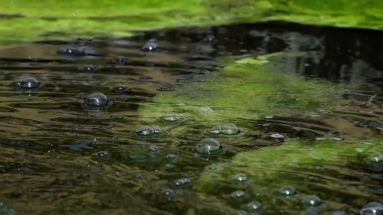 波浪起伏的水面上有绿色的苔藓和气泡视频素材