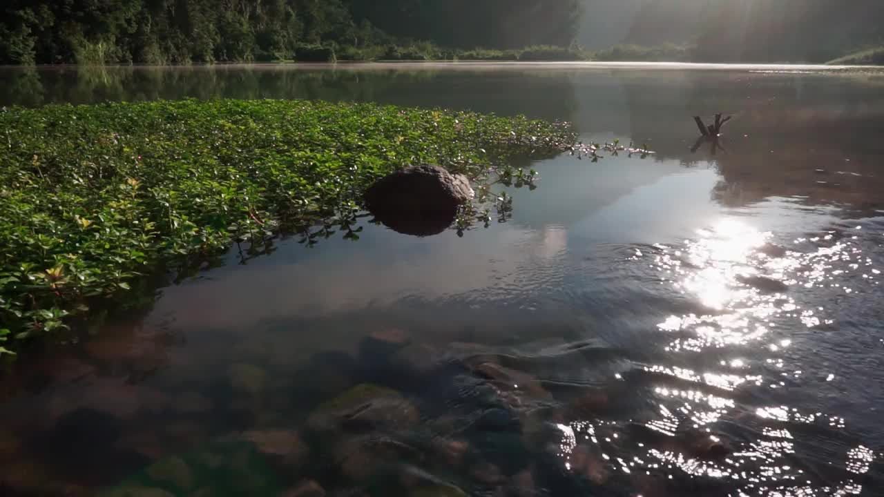 自然视频素材