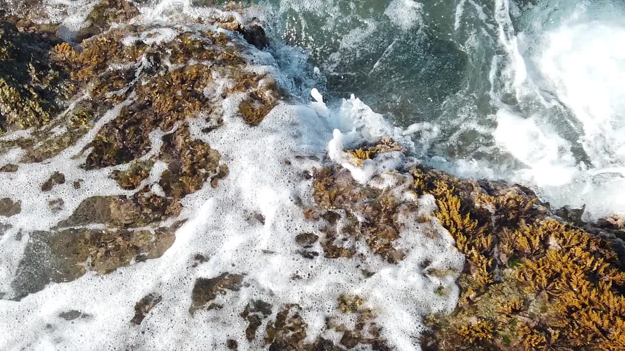 夏天清澈的大海和岸边的波浪视频素材