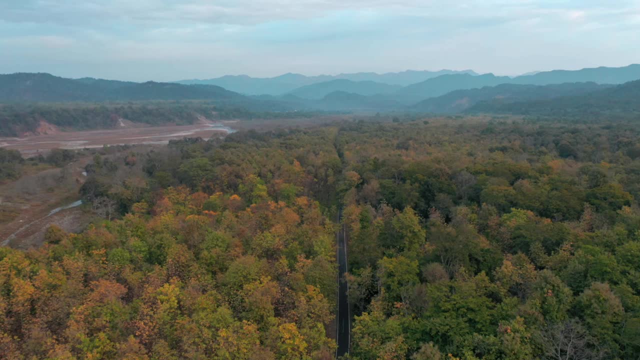 鸟瞰图的道路驾驶通过森林，马纳里，印度。视频素材