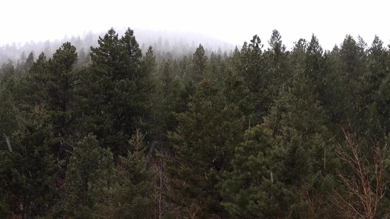 雪在冬天视频素材