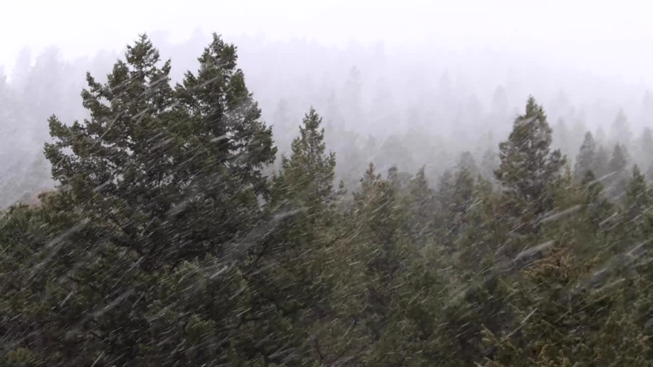 雪在冬天视频素材