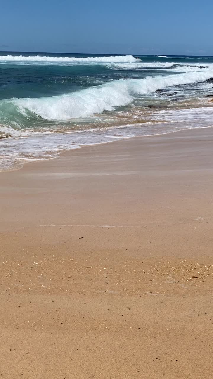 波伊普海滩岸边的海浪视频素材