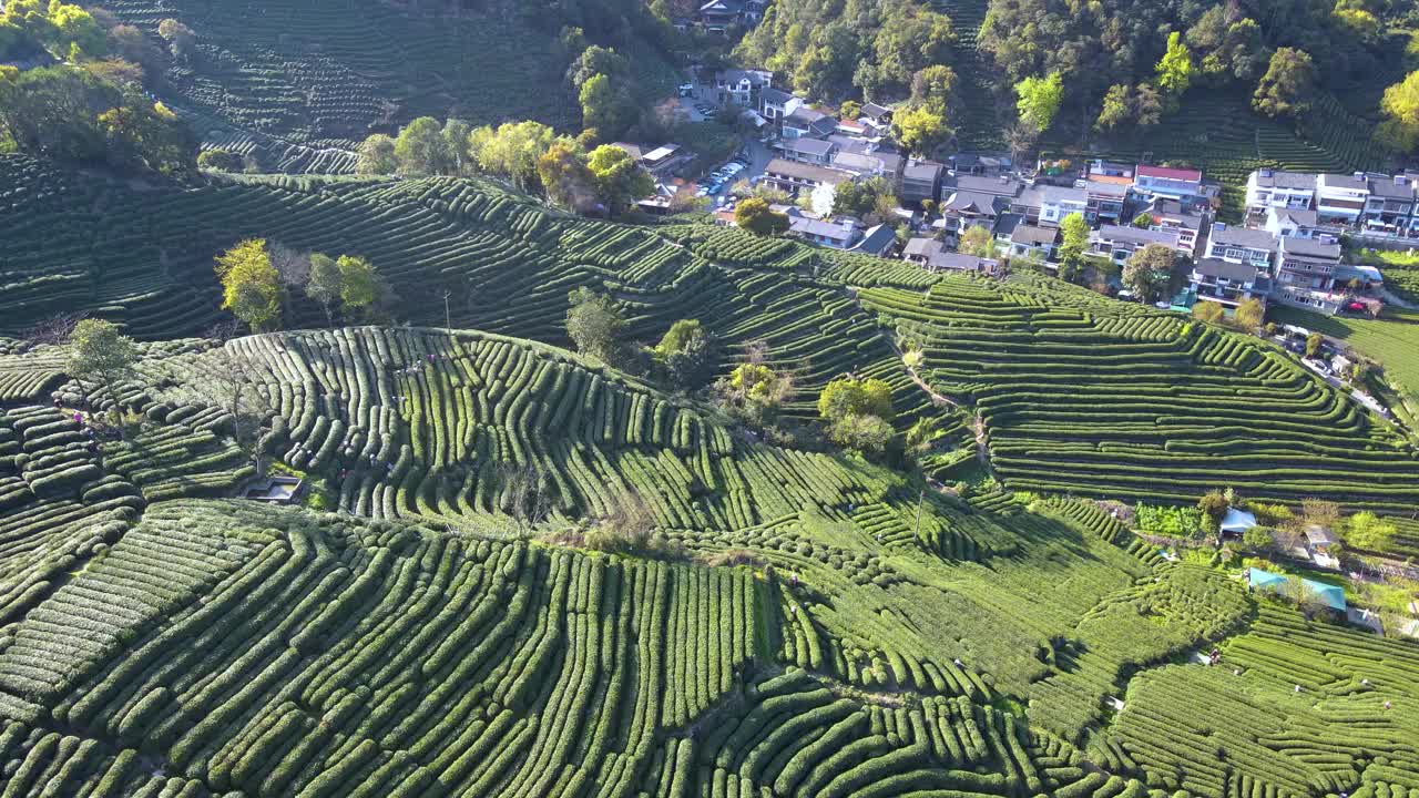 杭州西湖茶山梯田航拍视频素材