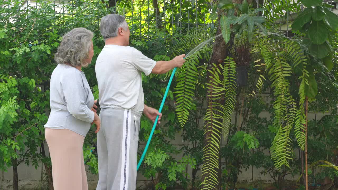 4K亚洲老夫妇一起在花园里照料植物视频素材