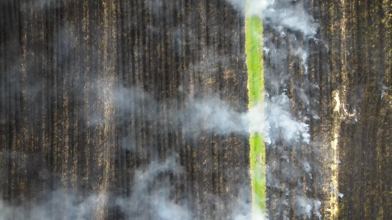 鸟瞰冒烟的野火，田野里燃烧的稻草视频素材