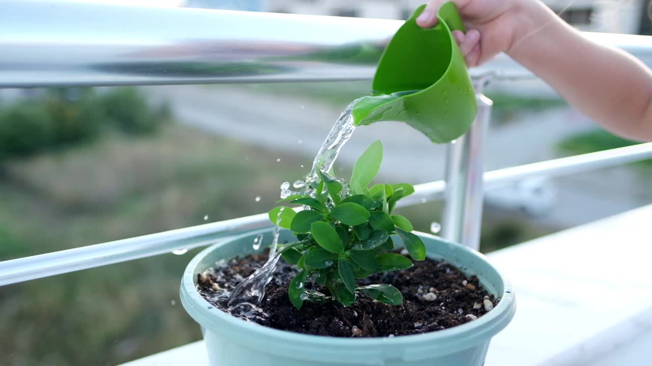 可爱的小女孩在花园里用喷壶给植物浇水。视频素材