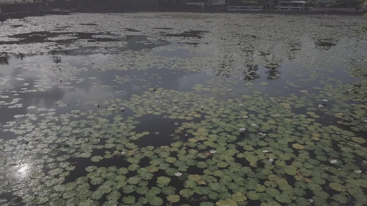 印度尼西亚达萨/巴厘岛寺的风景视频素材