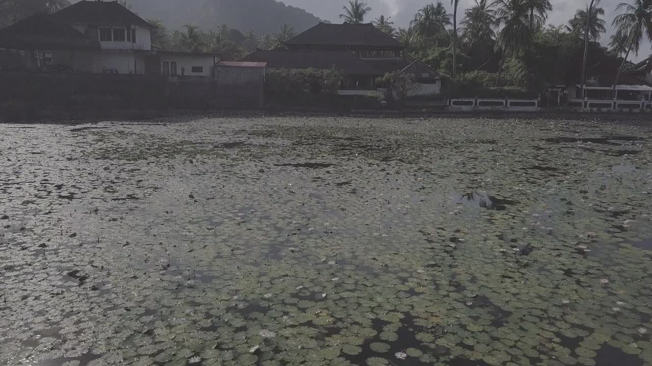 印度尼西亚达萨/巴厘岛寺的风景视频素材