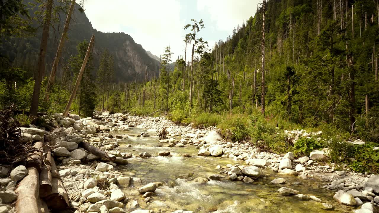 在塔特拉有清澈的水和小瀑布的山溪视频素材