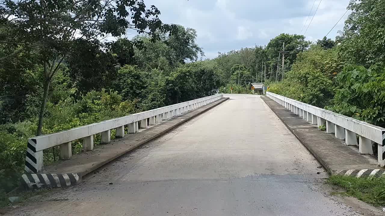 从车上可以看到桥上的道路和绿色植物视频素材