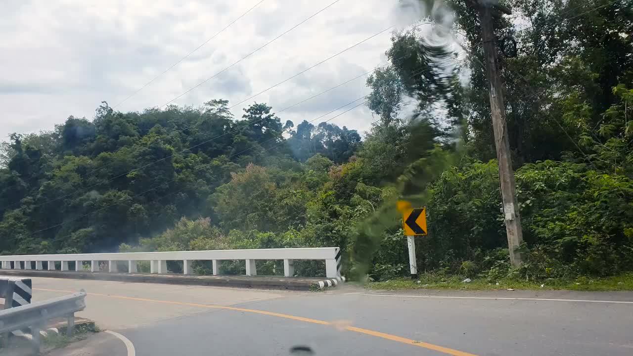 从车上可以看到桥上的道路和绿色植物视频素材