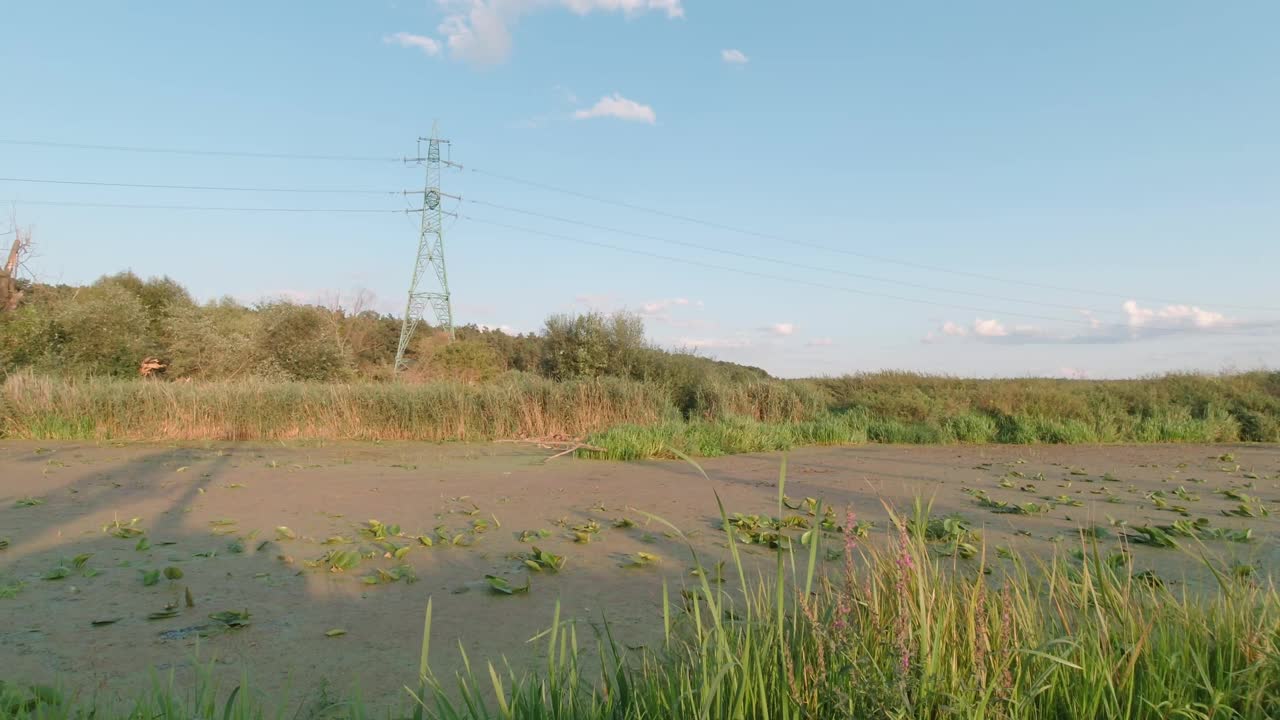 沼泽的水视频素材