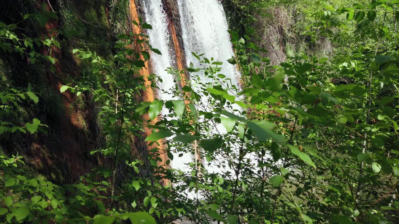 热带雨林中的丛林瀑布视频素材