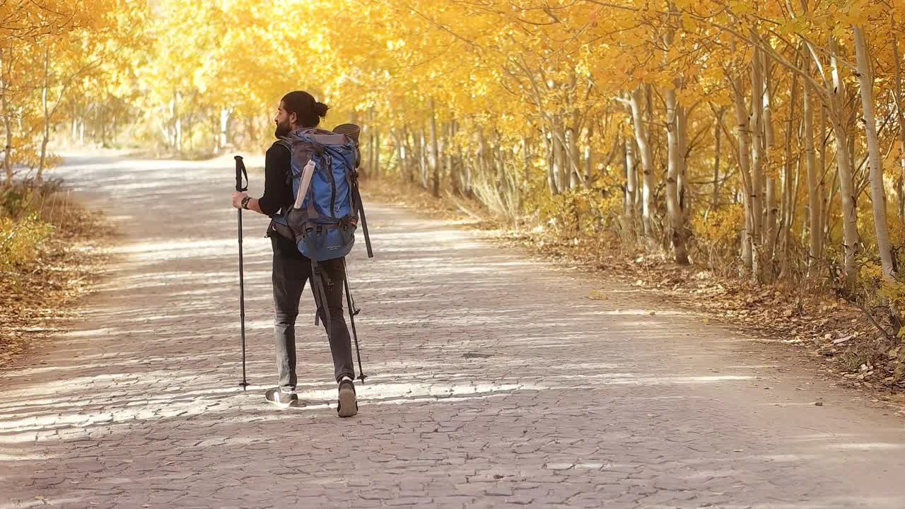 喜欢在森林里走北欧风情的旅游者视频素材