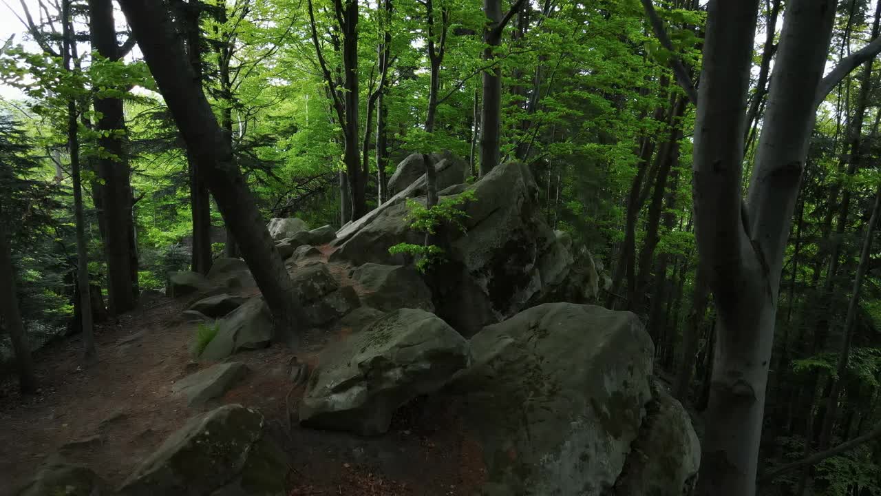 无人机拍摄飞行在魔法混合森林，相机向后飞非常低之间的绿色石头和苔藓。美丽的自然奇观，户外旅游胜地视频素材