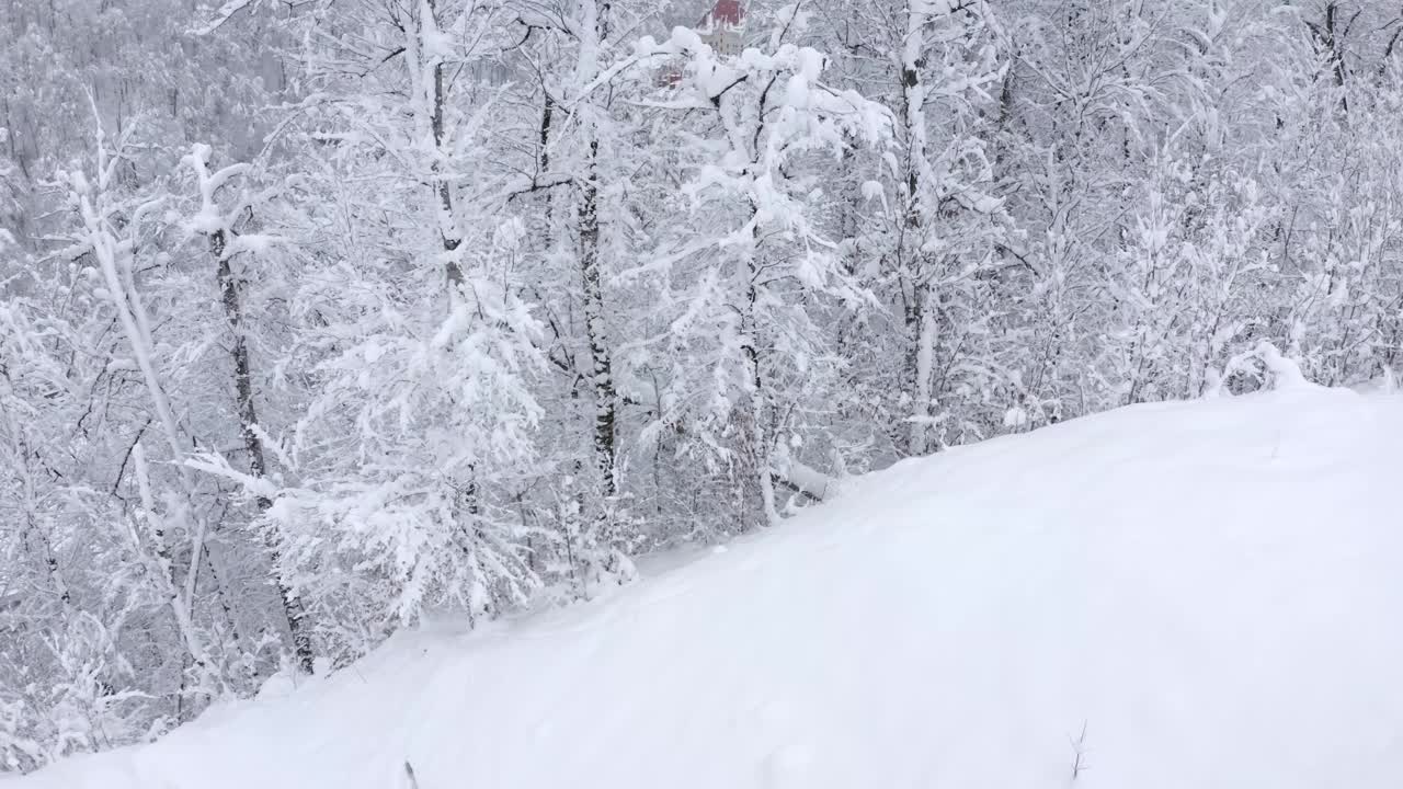 鸟瞰图的滑雪胜地城市被山和雪树包围视频素材