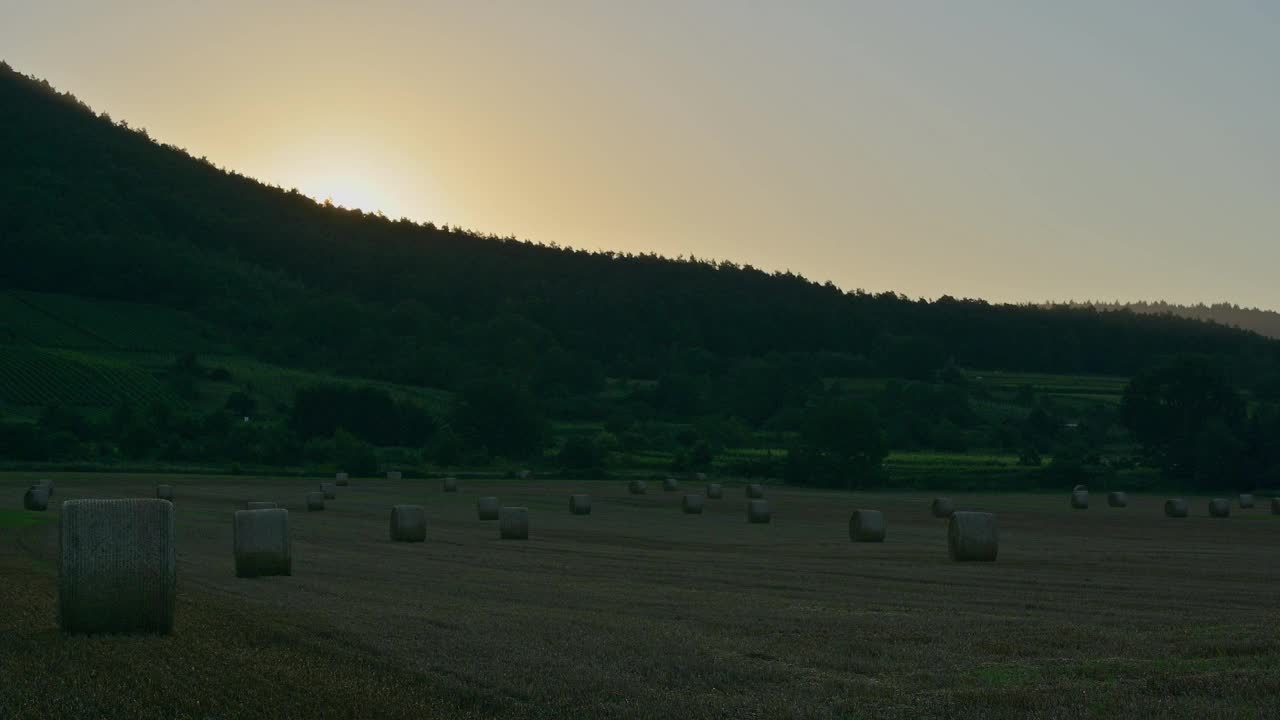 在夏天的麦田里，太阳升起视频素材