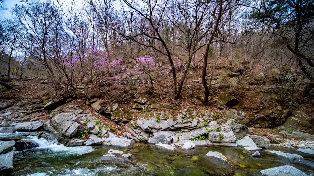 北威川的景色/韩国江原道春川市视频素材