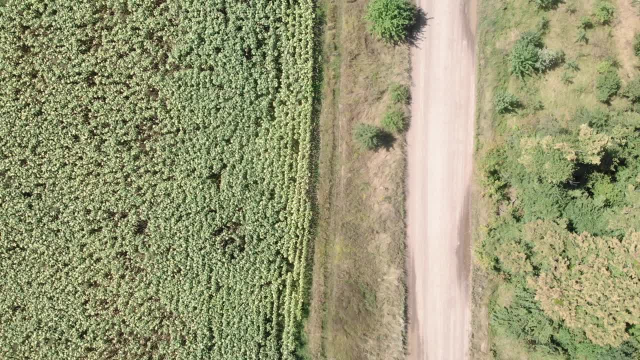 自行车手在砂石自行车上踩踏板。骑自行车沿着自然的砾石路。砾石自行车冒险视频素材