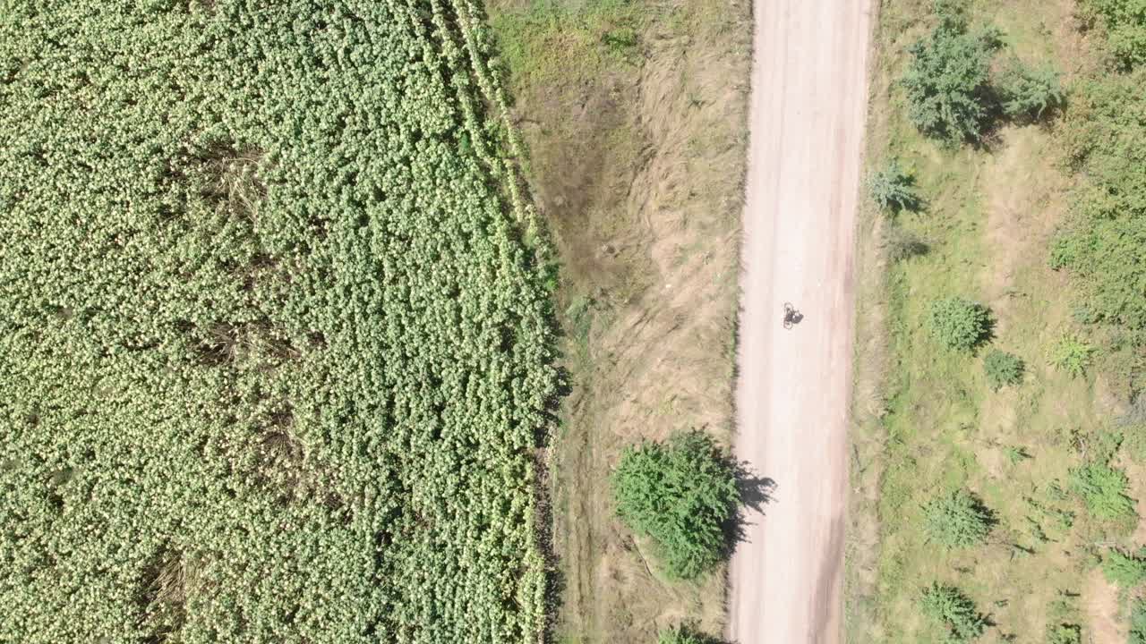 砾石骑车。一名女子在碎石小道上骑自行车。骑自行车的人在一条砾石路上扭着脚踏板。骑自行车探险。休闲度假。休闲活动视频素材