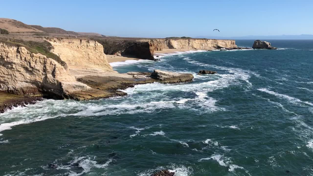 海岸奶牛场州立公园视频素材