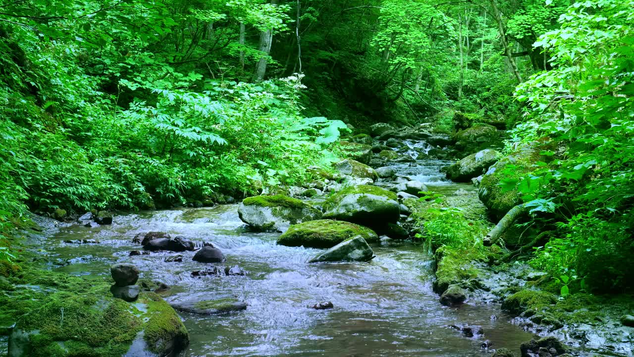 高山流水,日本北海道视频素材