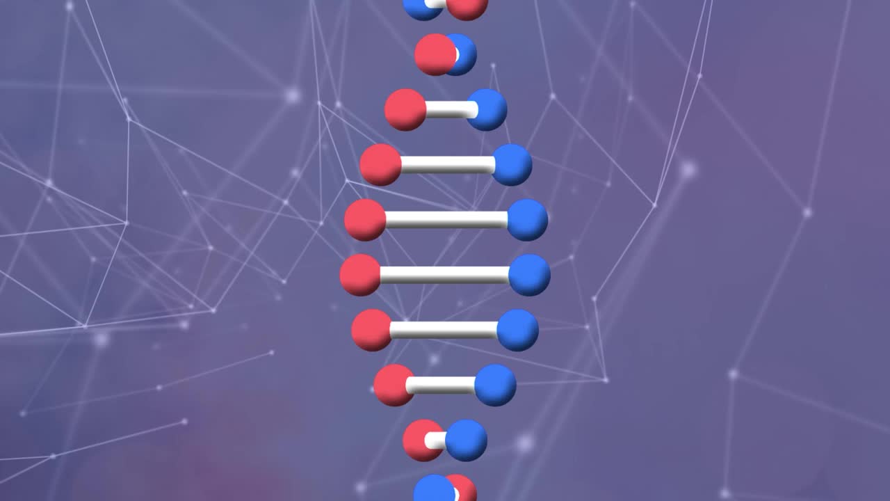 在连接网络上的dna链动画视频素材