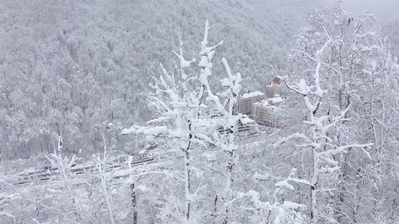 鸟瞰图的滑雪胜地城市的全景被山和雪树包围视频素材