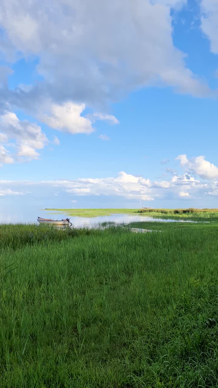 夏天在波罗的海的波浪上捕鱼视频素材