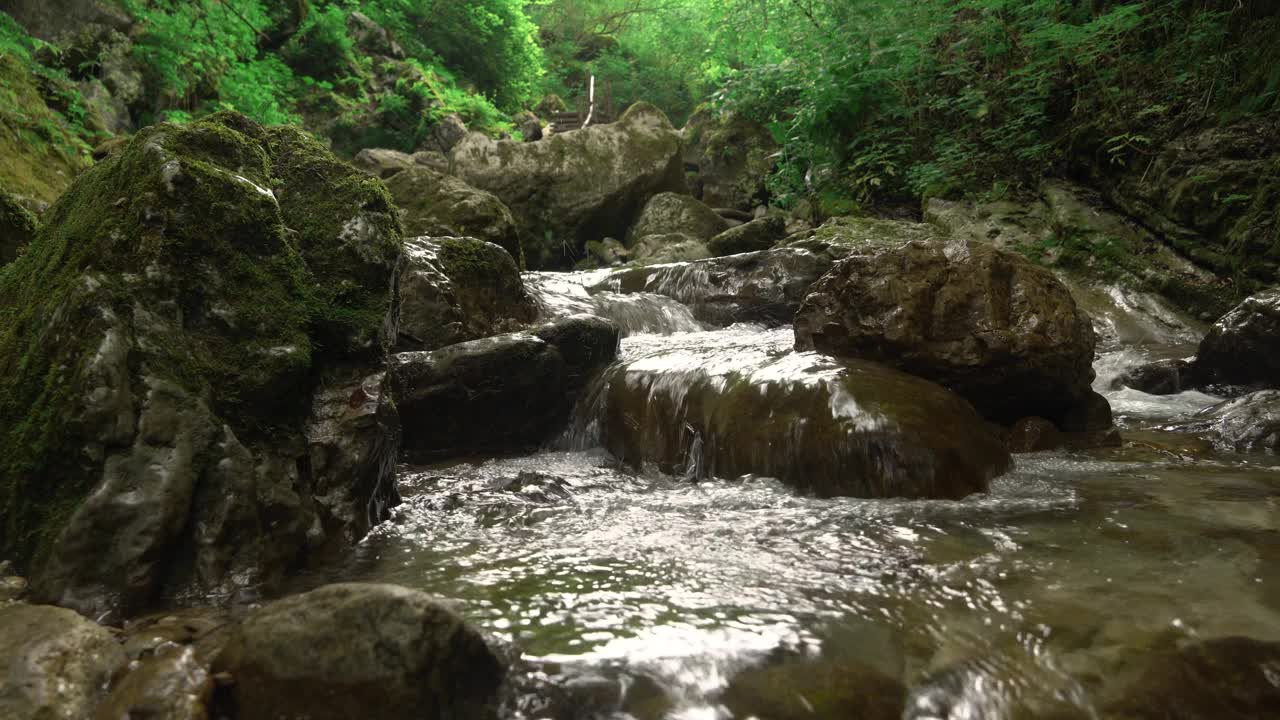 石头和苔藓在森林小溪的瀑布视频素材