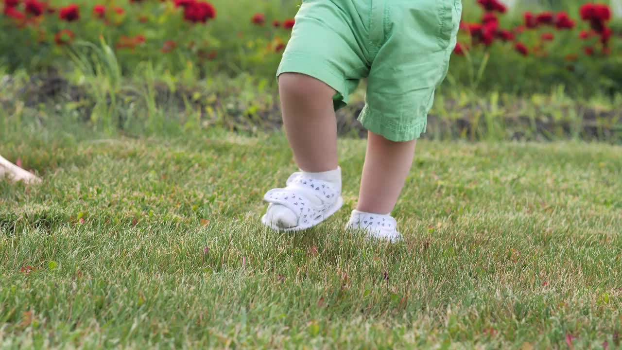 一位母亲牵着她年幼的孩子的手，孩子正试着在草地上新鲜的空气中迈出第一步。带着孩子的母亲。幸福的家庭。特写镜头。视频素材