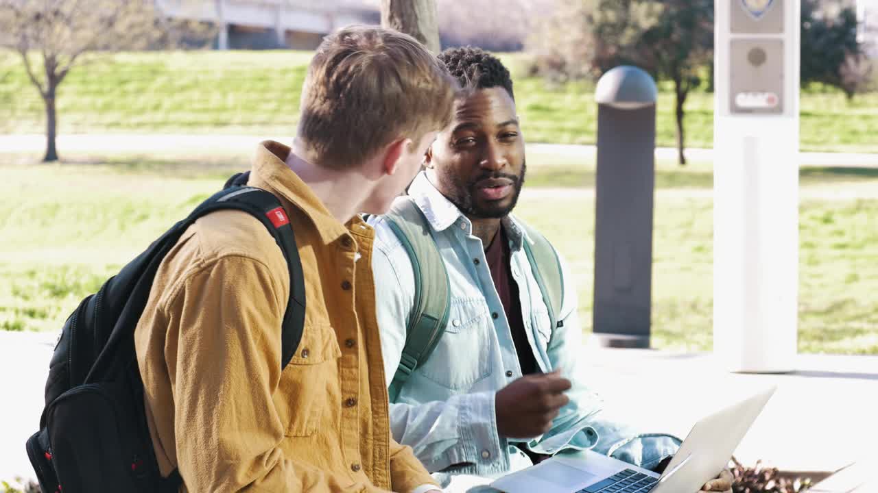 各种各样的男大学生朋友一起在户外学习视频素材