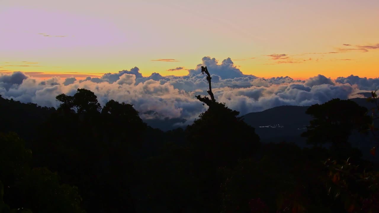 在中美洲或南美洲，哥斯达黎加，巴拿马的热带森林和山脉的日落景观，夜景与彩色的天空和云，树和山的轮廓，鸟儿唱歌。视频素材