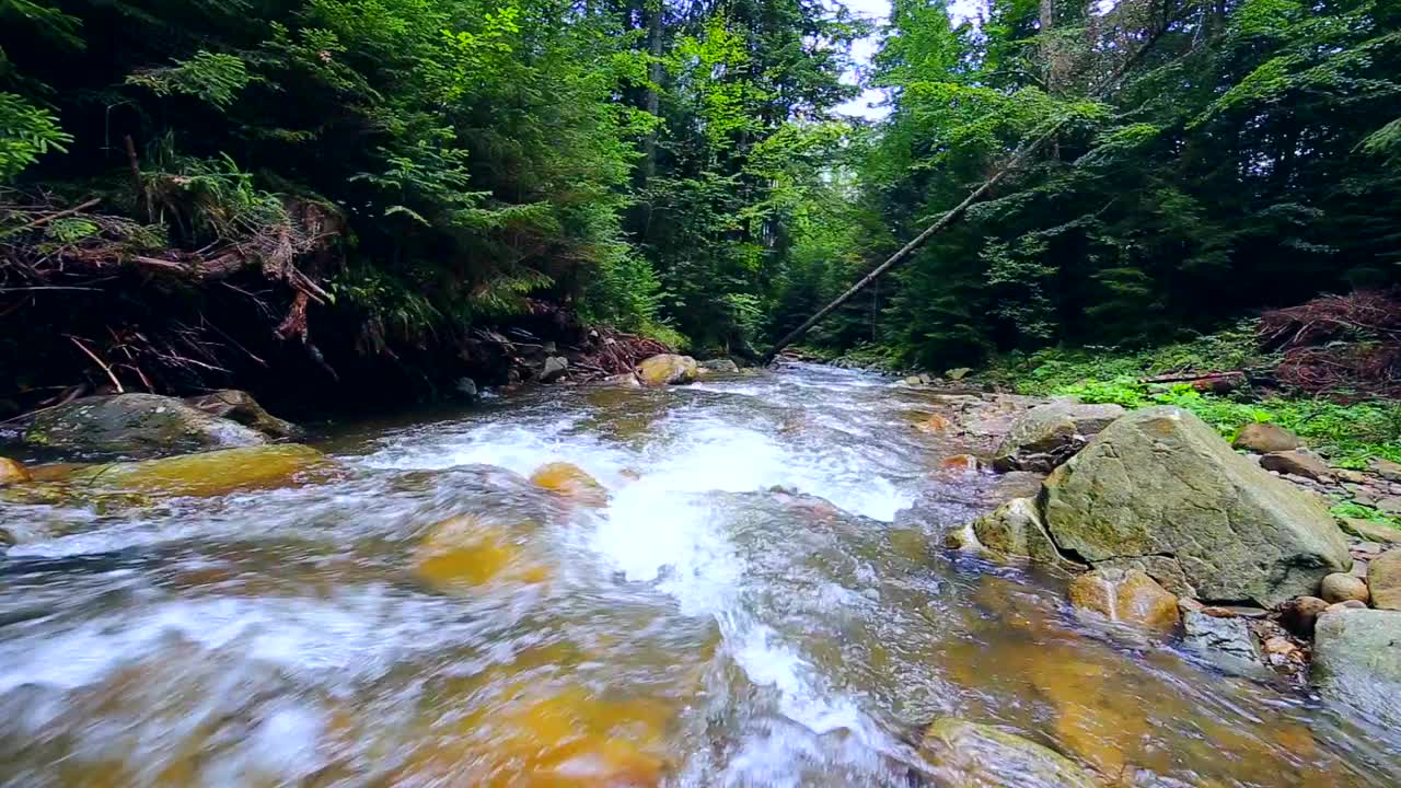 快速流动的水在山区森林河流视频素材