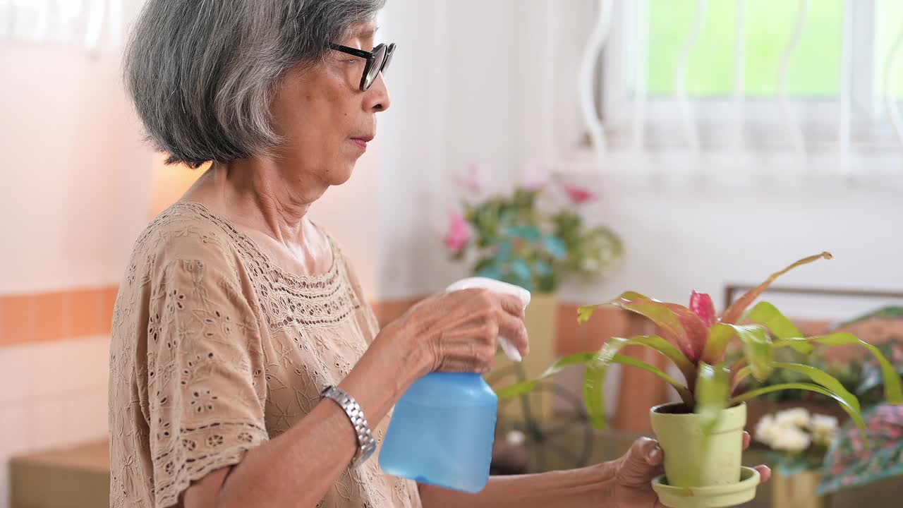 老妇人在家里种植盆栽植物视频素材