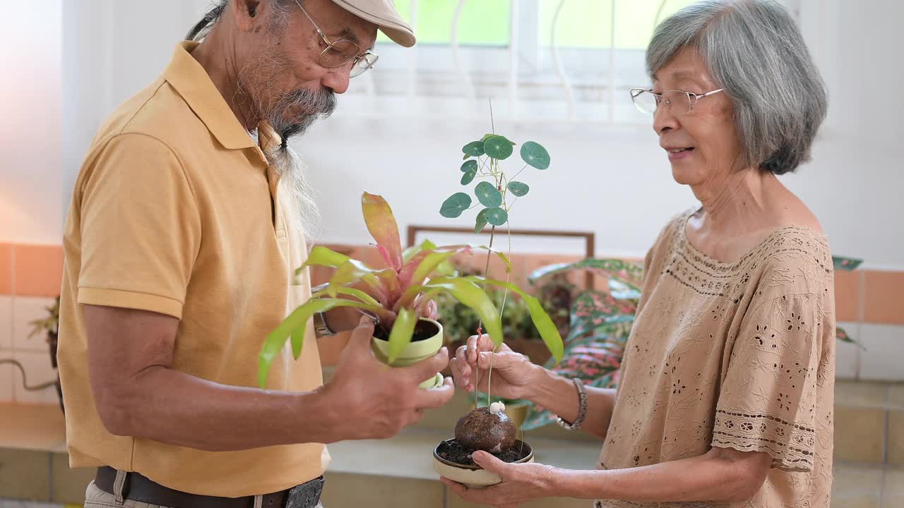 老夫妇在家里种植盆栽植物视频素材