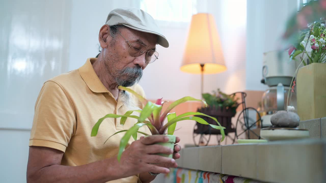 老人在家里种植盆栽视频素材