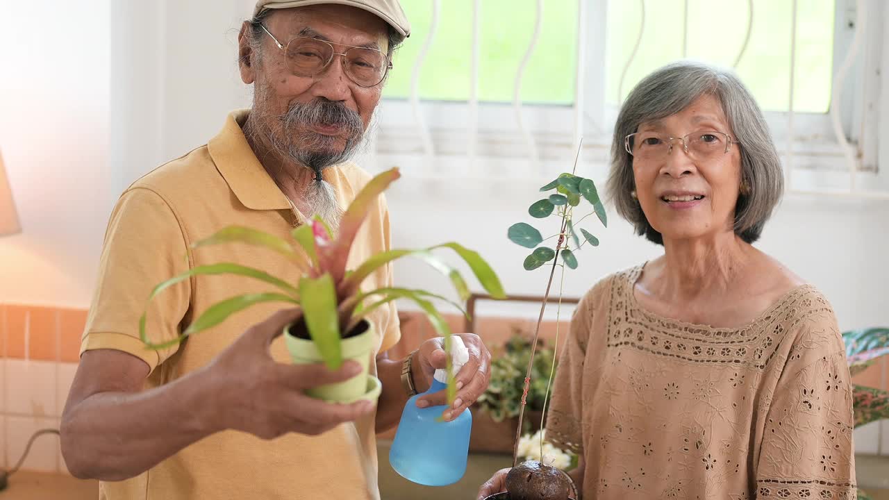 老夫妇在家里种植盆栽植物视频素材