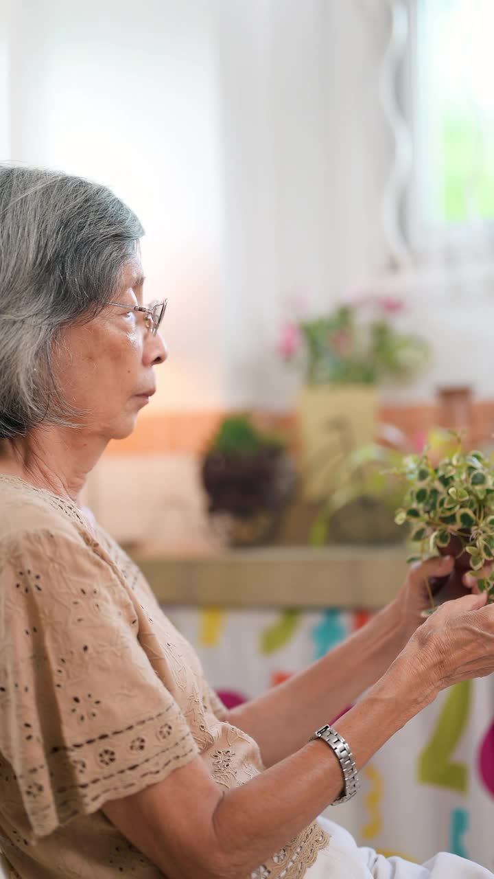 老妇人在家里种植盆栽植物视频素材