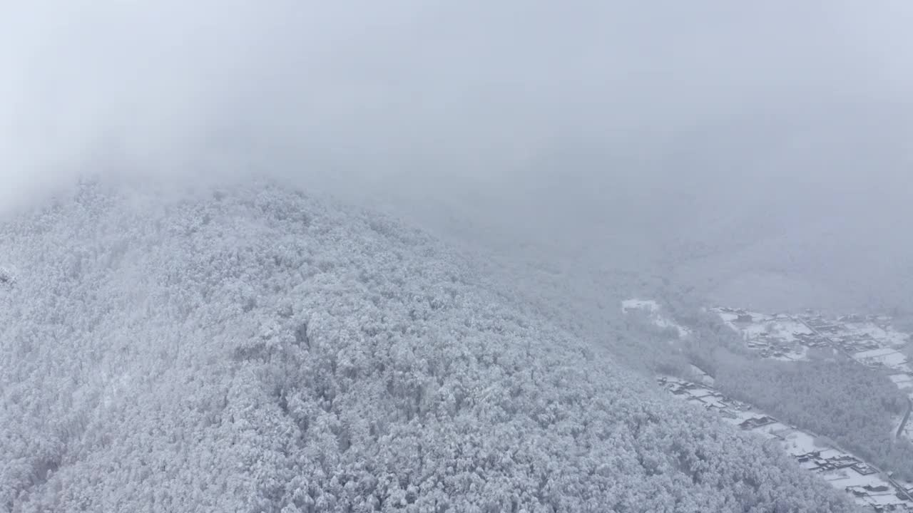 缓慢飞行的天然云杉林覆盖着冰雪和小郊区村庄狭窄的山谷视频素材