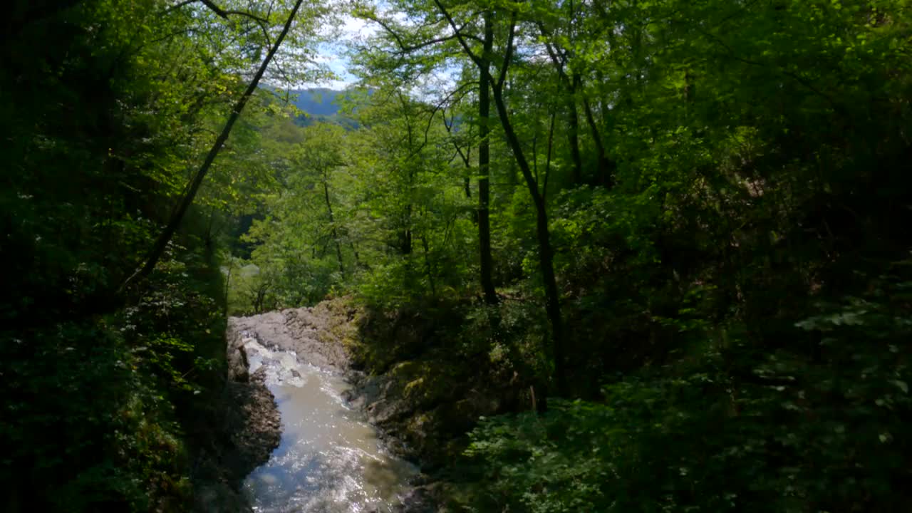 极限潜水飞行在史诗般的自然山川，河流滴溪在丛林异国雨林视频素材