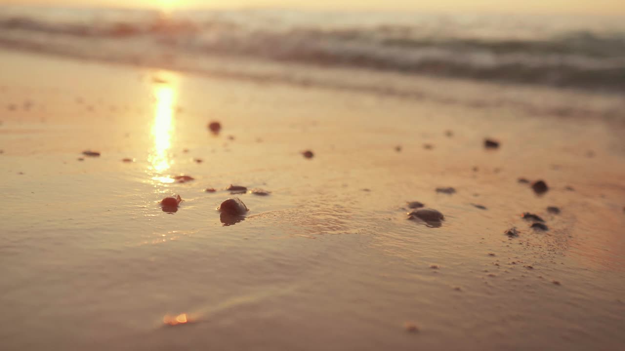 沙滩上有泡沫的海浪视频素材