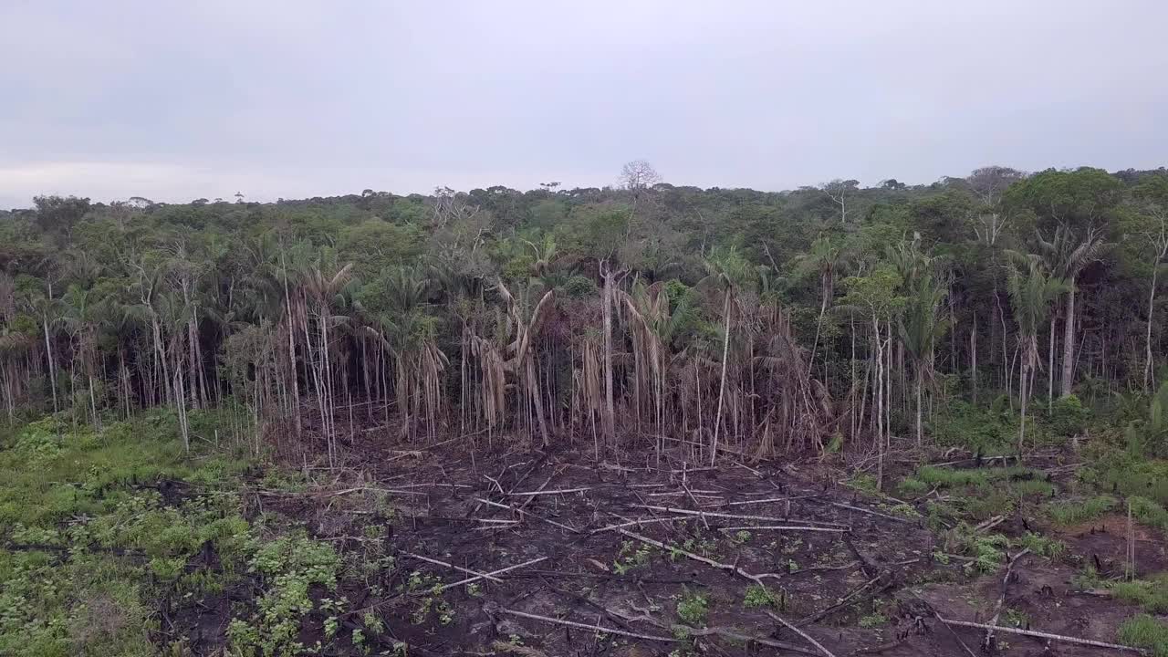 巴西亚马逊雨林的非法砍伐鸟瞰图。生态、保护、农业、全球变暖和环境的概念。4 k视频素材