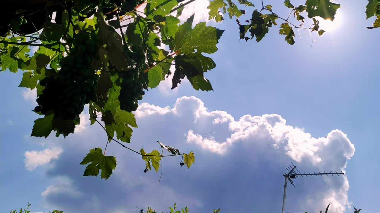 蓝色的天空和许多白云在夏天的背景视频素材